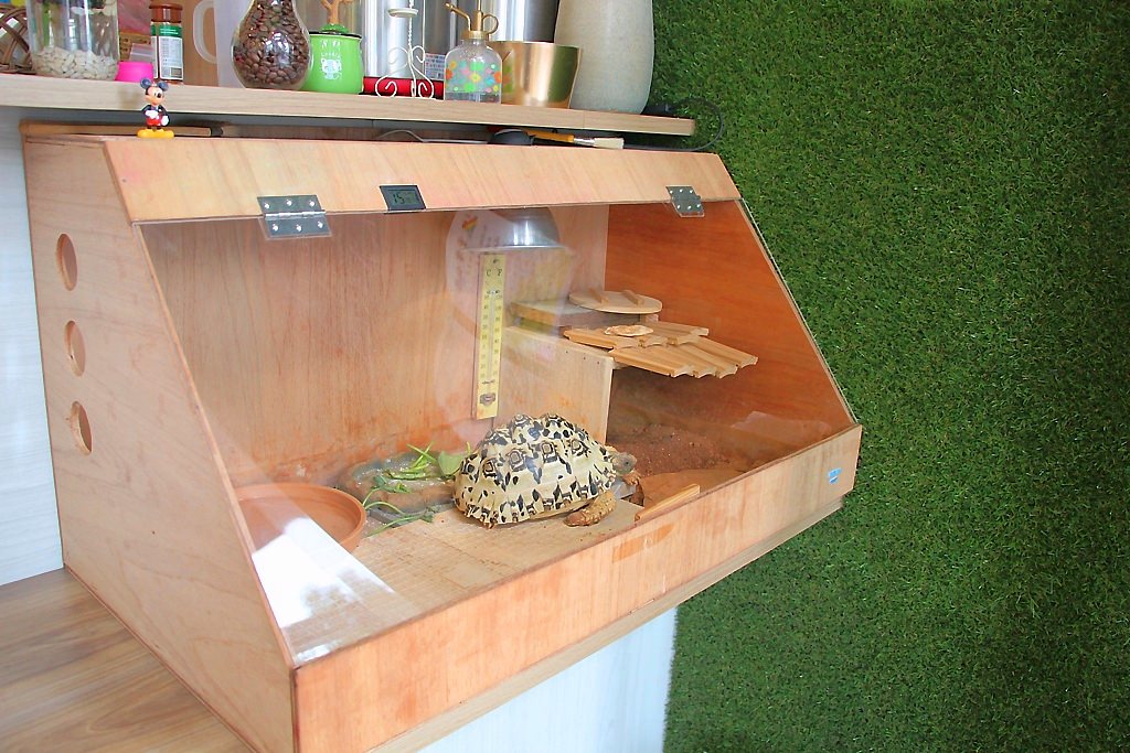 頌膾Brunch，小巧的店家卻有大大的滿足，帶小孩兒來也很不賴。 - 微笑Joe幸運