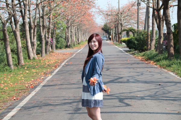 二林東螺溪畔木棉花道：【彰化景點】二林鎮東螺溪畔木棉花道~綿延一公里的火紅木棉花道，吸引了不少旅人來鄉間尋幽