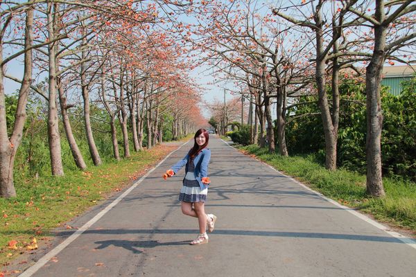 二林東螺溪畔木棉花道：【彰化景點】二林鎮東螺溪畔木棉花道~綿延一公里的火紅木棉花道，吸引了不少旅人來鄉間尋幽