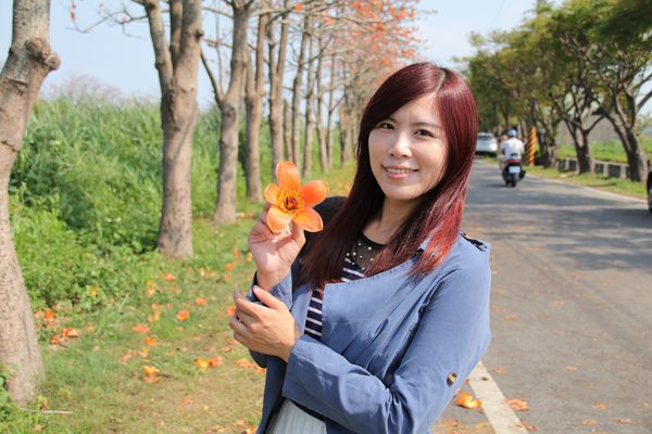 二林東螺溪畔木棉花道：【彰化景點】二林鎮東螺溪畔木棉花道~綿延一公里的火紅木棉花道，吸引了不少旅人來鄉間尋幽