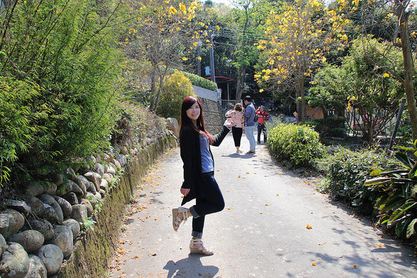 巨埔農場:【新竹景點】新埔巨埔農場~廣源記圳步道/黃風鈴花盛開/遇見七彩繽紛的夢幻彩虹水管屋