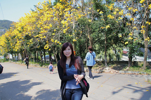 巨埔農場:【新竹景點】新埔巨埔農場~廣源記圳步道/黃風鈴花盛開/遇見七彩繽紛的夢幻彩虹水管屋