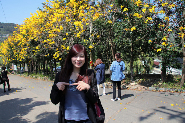 巨埔農場:【新竹景點】新埔巨埔農場~廣源記圳步道/黃風鈴花盛開/遇見七彩繽紛的夢幻彩虹水管屋