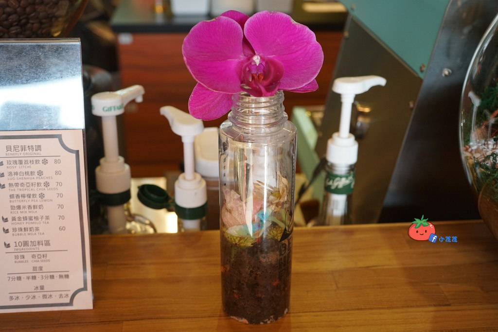 士林漸層飲料 貝尼菲