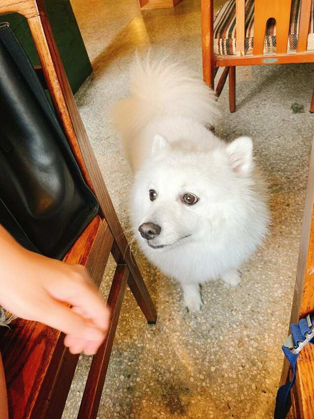 樓梯好陡咖啡館 SteepStairs 台北大同 食記 - 丹尼的吃喝玩樂