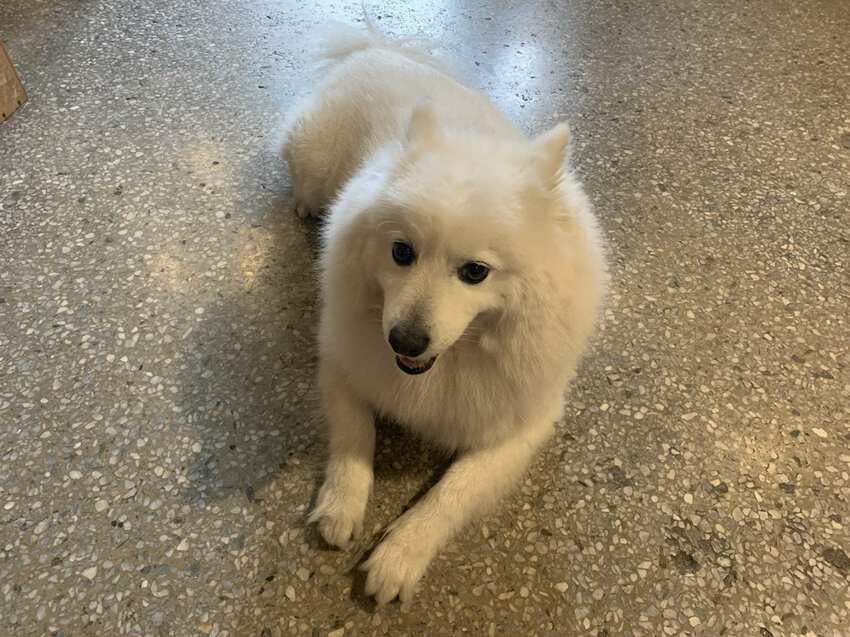 樓梯好陡咖啡館 SteepStairs 台北大同 食記 - 丹尼的吃喝玩樂