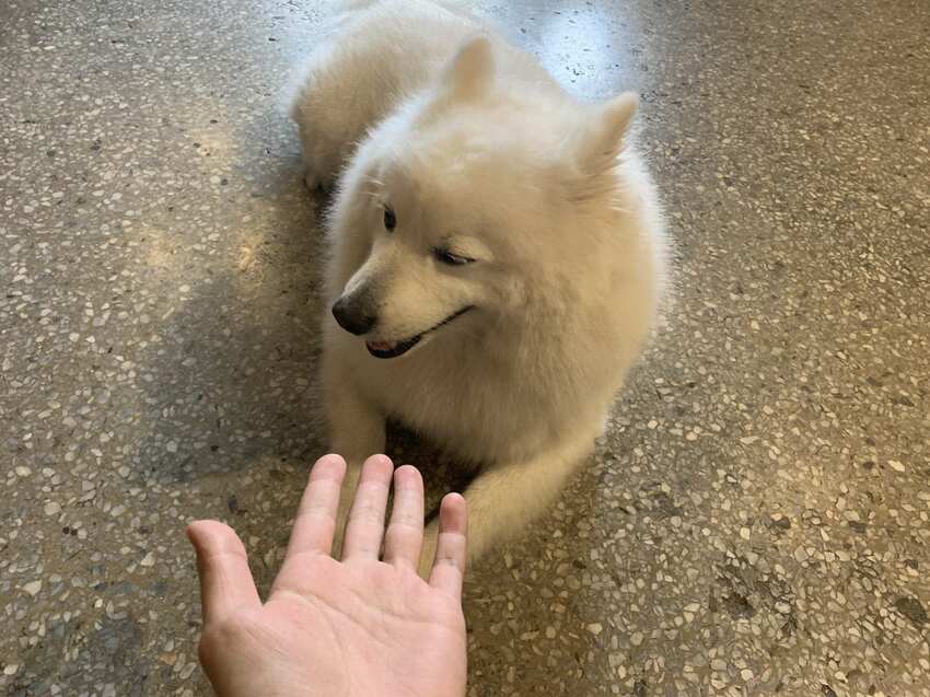 樓梯好陡咖啡館 SteepStairs 台北大同 食記 - 丹尼的吃喝玩樂