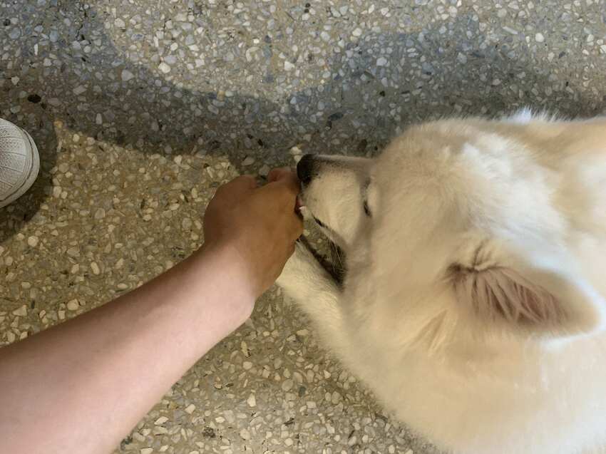 樓梯好陡咖啡館 SteepStairs 台北大同 食記 - 丹尼的吃喝玩樂