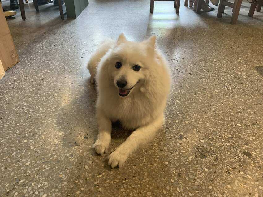 樓梯好陡咖啡館 SteepStairs 台北大同 食記 - 丹尼的吃喝玩樂