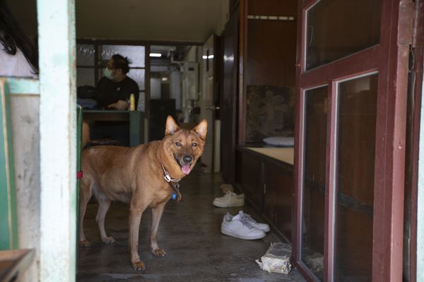 樓梯好陡老屋咖啡 - 15