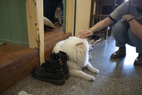 樓梯好陡老屋咖啡 - 25