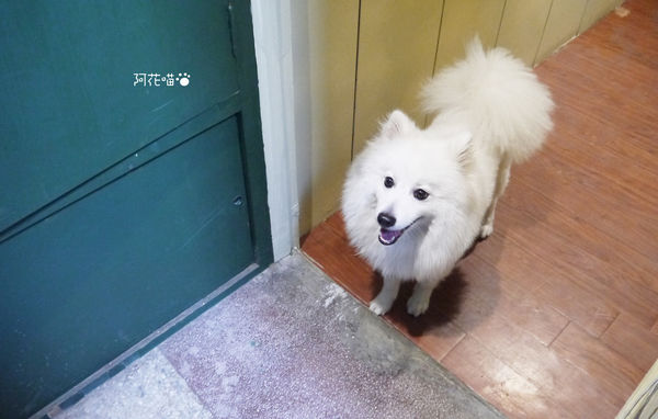 樓梯好陡:【老屋咖啡館│捷運民權西路站】台北也有老屋咖啡館『樓梯好陡』|咖啡|輕食|好物|網路|共同工作室|藝文|場地租借|