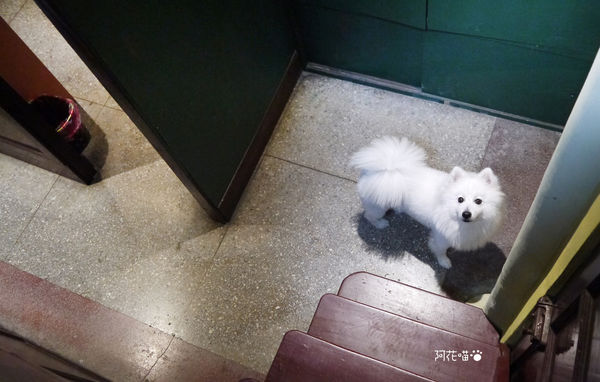 樓梯好陡:【老屋咖啡館│捷運民權西路站】台北也有老屋咖啡館『樓梯好陡』|咖啡|輕食|好物|網路|共同工作室|藝文|場地租借|