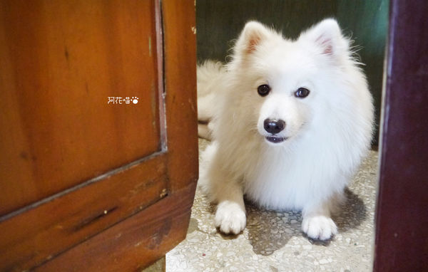 樓梯好陡:【老屋咖啡館│捷運民權西路站】台北也有老屋咖啡館『樓梯好陡』|咖啡|輕食|好物|網路|共同工作室|藝文|場地租借|