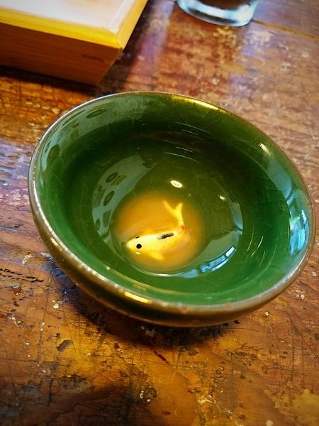 18011058_1472636552768029_2360601407779184715_n