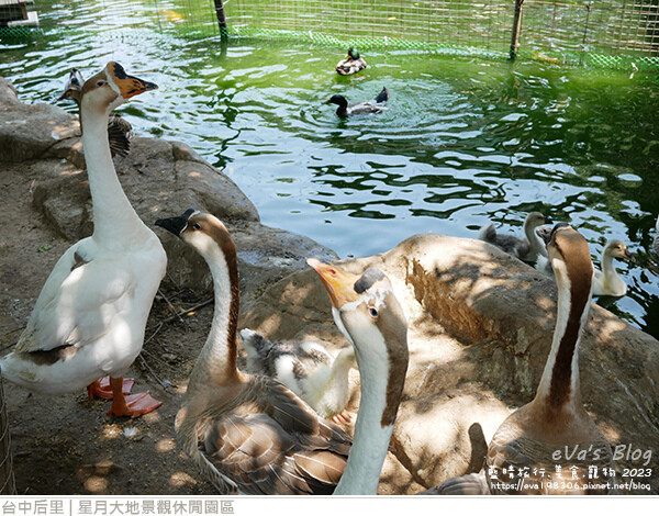 星月大地景觀休閒園區-38.jpg