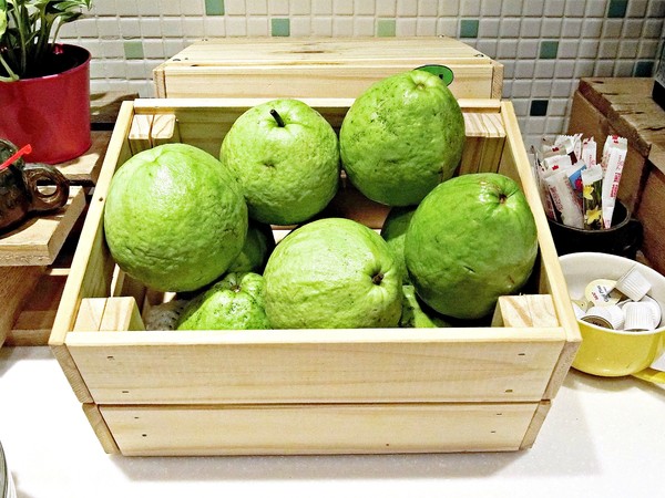 東旅背包客:東旅背包客 East Hostel