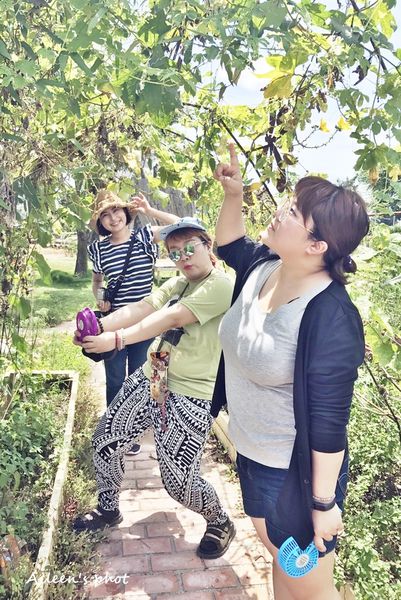 台南姊妹五缺一_170705_0014