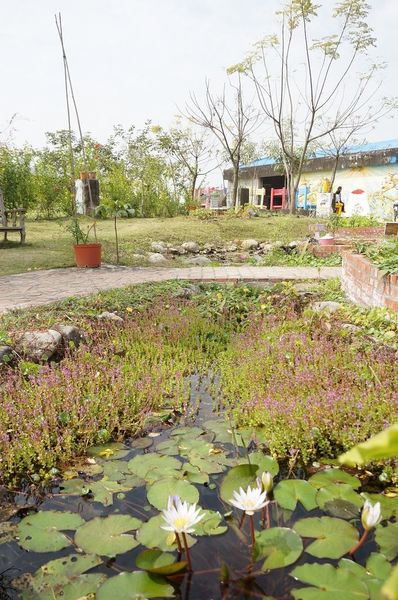 DSC02313.jpg DSC02313.jpg