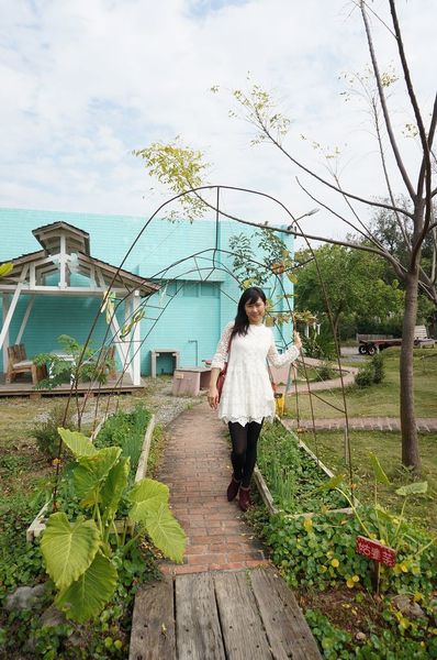 DSC02312.jpg DSC02312.jpg