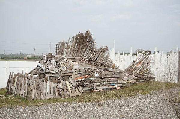 DSC02306.jpg DSC02306.jpg