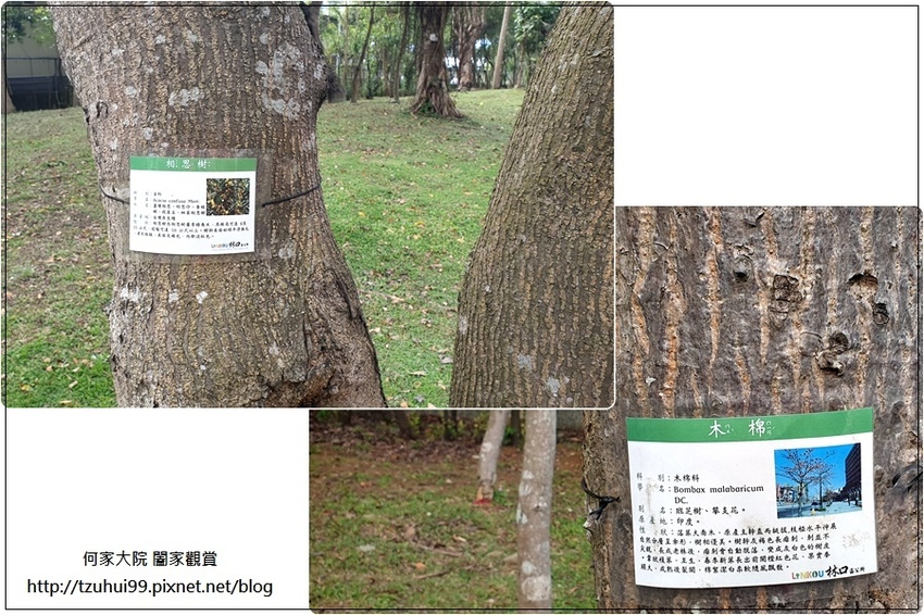 林口樂活公園(捷運車廂公園)特色公園+共融公園+特色溜滑梯 05.jpg