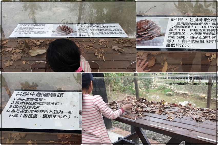 林口樂活公園(捷運車廂公園)特色公園+共融公園+特色溜滑梯 18.jpg