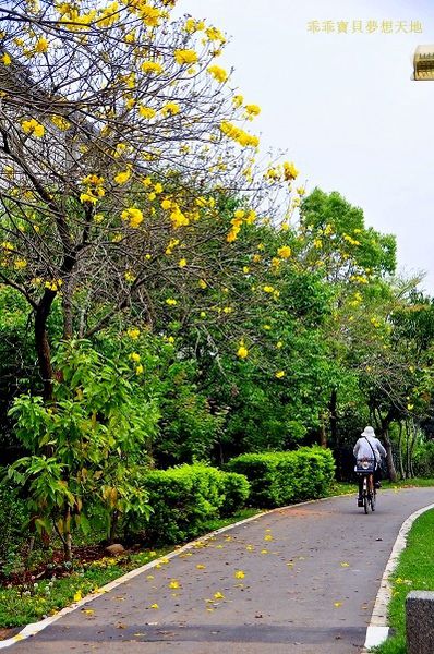 樂活公園-8.JPG