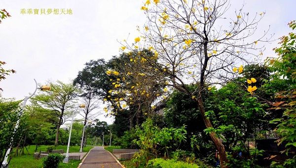 樂活公園-10.JPG