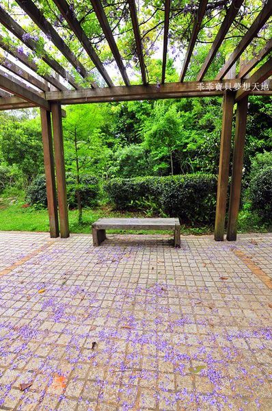 樂活公園-15.JPG