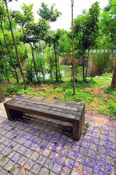 樂活公園-16.JPG
