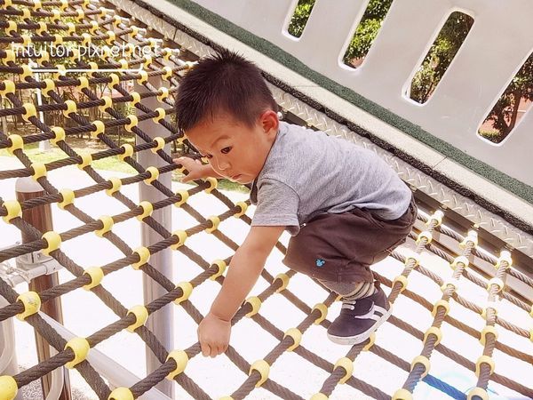 林口樂活公園雞腿寶攀爬.jpg 林口樂活公園雞腿寶攀爬.jpg