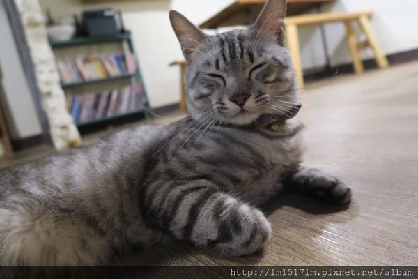 之間早午餐·輕食 (13).jpg