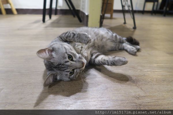 之間早午餐·輕食 (25).jpg
