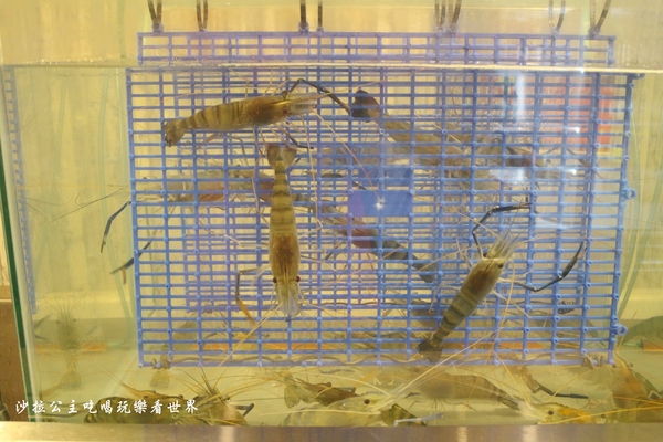 台北リ味館/原味館：東區.市民大道新開幕海鮮燒烤『台北リ味館/原味館』現烤鮮蚵/泰國蝦/199元生啤喝到飽/宵夜/有包廂/捷運忠孝復興站