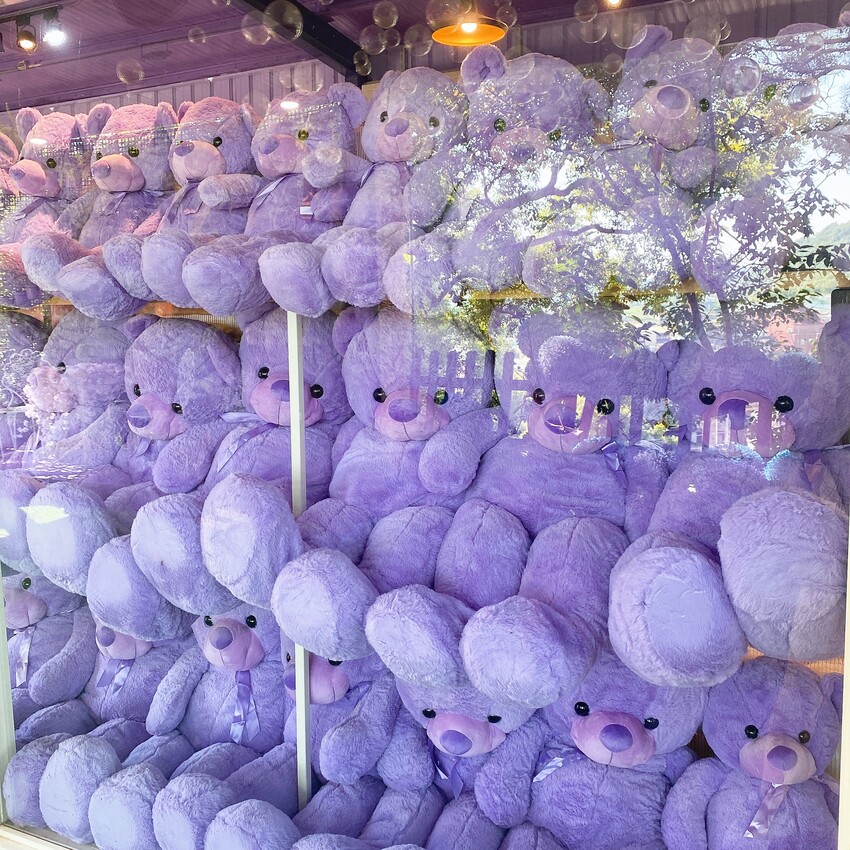 苗栗人氣夢幻的紫色咖啡廳—噢哈娜咖啡屋，高達10個打卡景點任你拍，快揪姊妹一起來