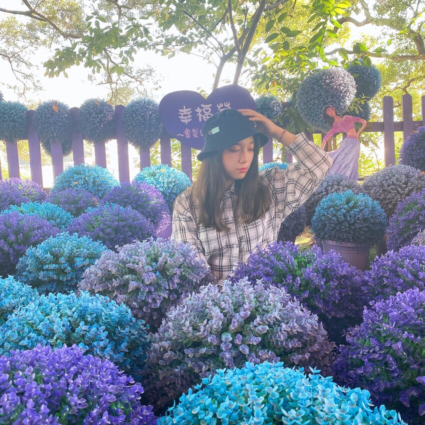 苗栗人氣夢幻的紫色咖啡廳—噢哈娜咖啡屋，高達10個打卡景點任你拍，快揪姊妹一起來