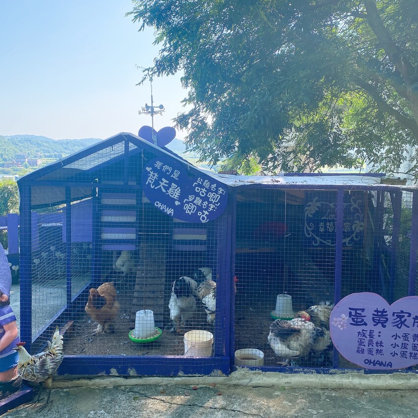 苗栗人氣夢幻的紫色咖啡廳—噢哈娜咖啡屋，高達10個打卡景點任你拍，快揪姊妹一起來