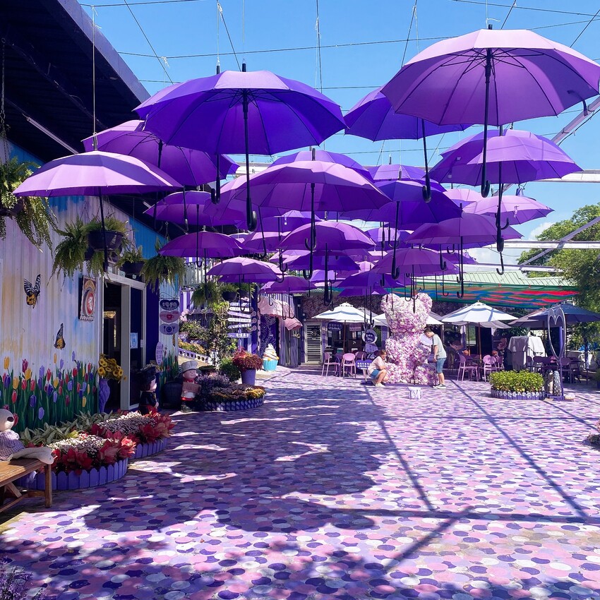 苗栗人氣夢幻的紫色咖啡廳—噢哈娜咖啡屋，高達10個打卡景點任你拍，快揪姊妹一起來