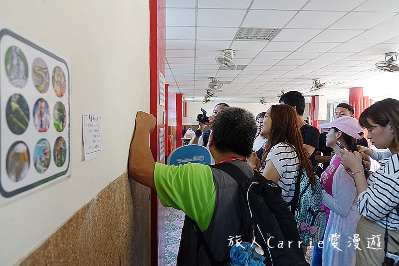 大溪實境遊戲【桃園大溪旅遊】大溪建築露天博物館，和平老街、迷