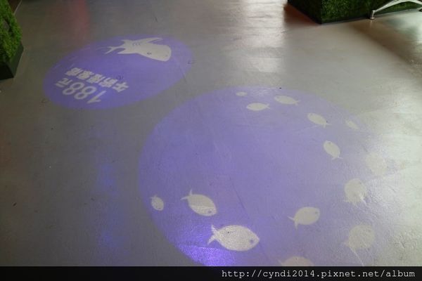 IMG_3382.JPG IMG_3382.JPG