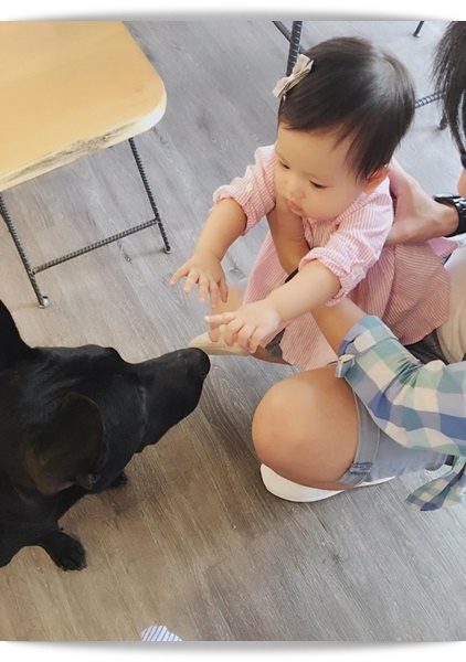 小巷裡的日系鄉村味咖啡店!! -「住牙Toothday」♡