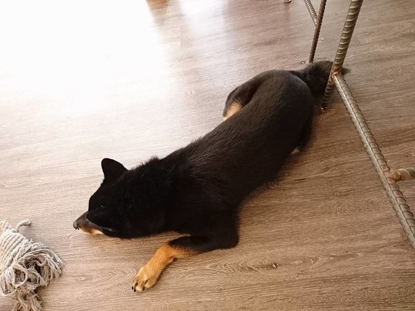 18118682_1483076268390724_6952174003192745329_n