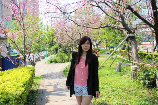 日星公園：【桃園景點】桃園平鎮莊敬里日星公園~粉紅色櫻花粉嫩嬌豔耀眼奪目