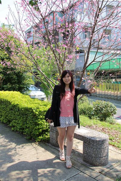 日星公園：【桃園景點】桃園平鎮莊敬里日星公園~粉紅色櫻花粉嫩嬌豔耀眼奪目