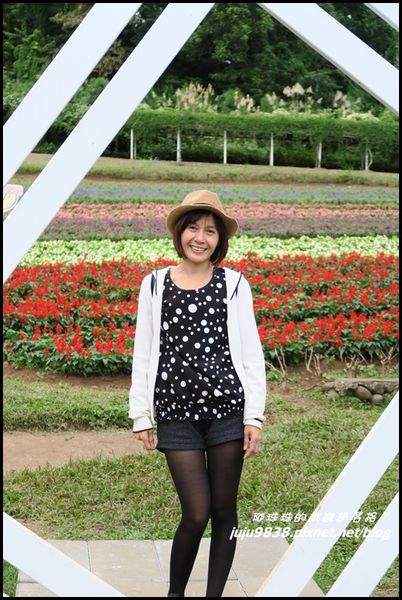 大溪花海51.JPG