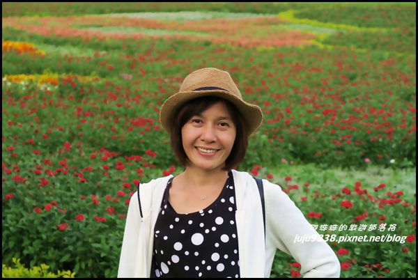 大溪花海9.JPG