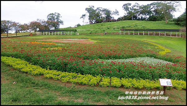 大溪花海1.jpg