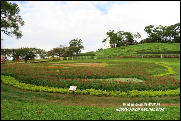 大溪花海7.JPG