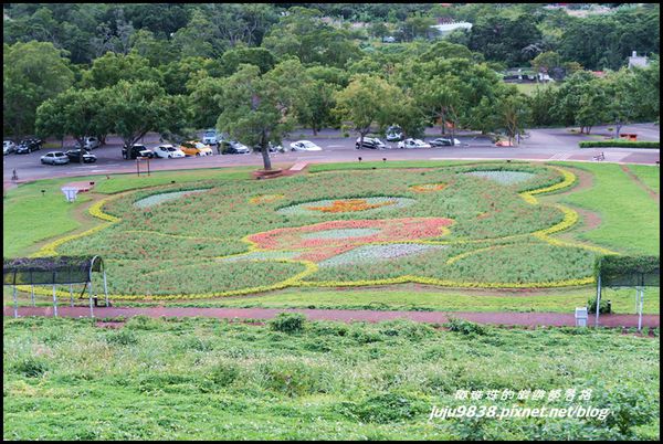 大溪花海33.JPG